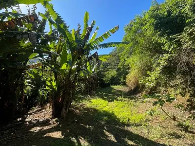 Terreno para venda,  São Pedro Da Serra, Nova Friburgo - Foto 3