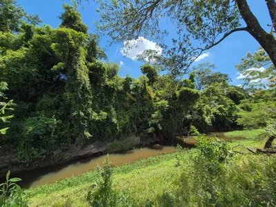 Sítio de 6,6 hectares com água, solo fértil e alto potencial produtivo à venda no Manduca Coelho - Foto 36