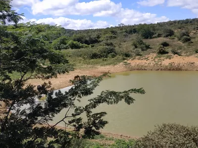 FAZENDA A VENDA REGIÃO DO MORRO DO CHAPÉU - Foto 14
