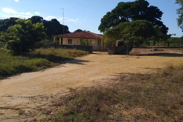 Vendo Fazenda com 726 hectares de área plana, Lagoa Preta, município de Tremedal - BA - Foto 5