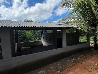 Excelente Sítio à Venda em Caraíbas – 3 Hectares, Casa e Estrutura Completa – Água em Abund? - Foto 42