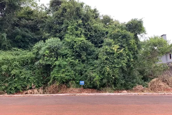 Terreno para venda - Foto 4