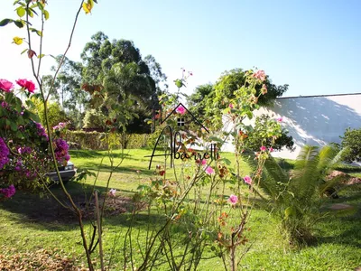 Chácara à venda no bairro Tupi, com 1.650 m² de terreno, nascente de água, piscina e 2 quartos - Foto 8