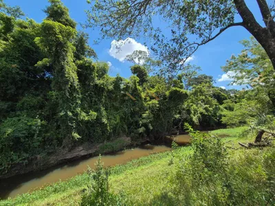 Sítio de 6,6 hectares com água, solo fértil e alto potencial produtivo à venda no Manduca Coelho - Foto 34