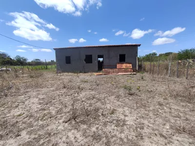 Sítio a venda na Lagoa das Flores com 2 casas, árvores frutíferas, poço artesiano, irrigação, - Foto 32