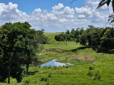 Sítio de 6,6 hectares com água, solo fértil e alto potencial produtivo à venda no Manduca Coelho - Foto 3