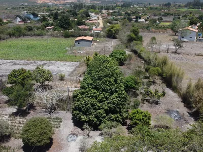 Sítio a venda na Lagoa das Flores com 2 casas, árvores frutíferas, poço artesiano, irrigação, - Foto 41