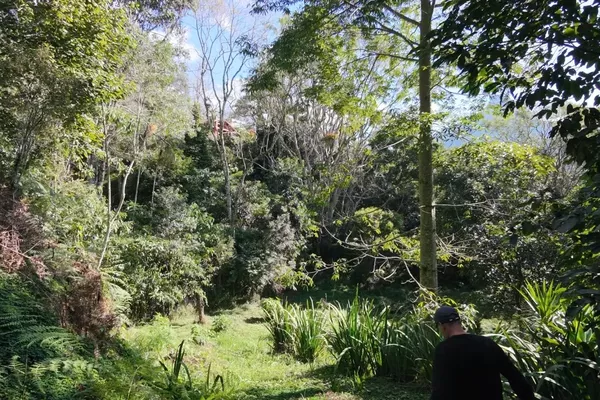 Terreno para venda,  CônegoVillaGhandi, Nova Friburgo - Foto 2