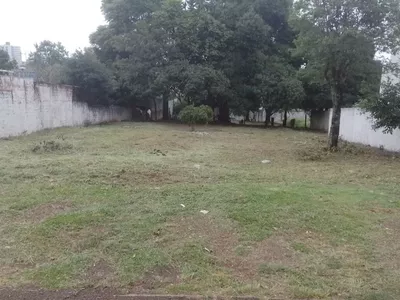 Terreno em frente a Nossa Escola para venda,  Pinheiros, Pato Branco - Foto 4