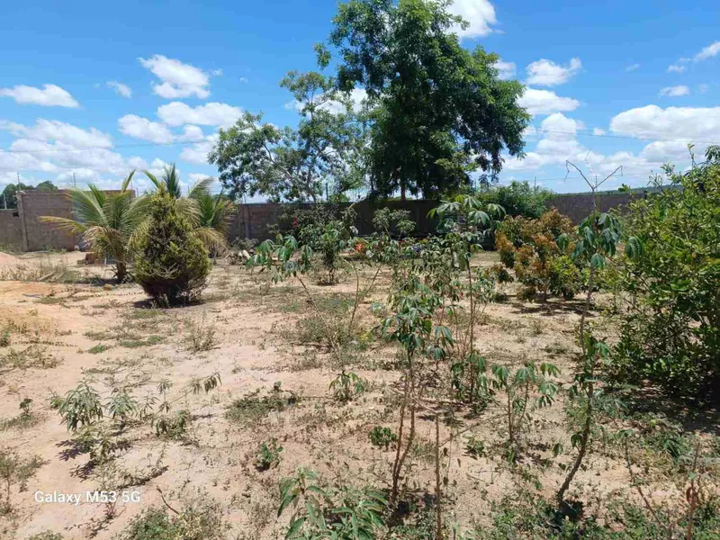 Sítio à Venda, zona Rural , São Sebastião do Passé, BA - Foto Principal
