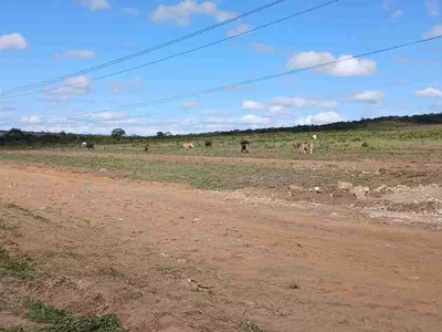 Lote à Venda com área 8 mil metros quadrados na Rodovia Barra do Choça, Estiva , Vitória da Con - Foto 3