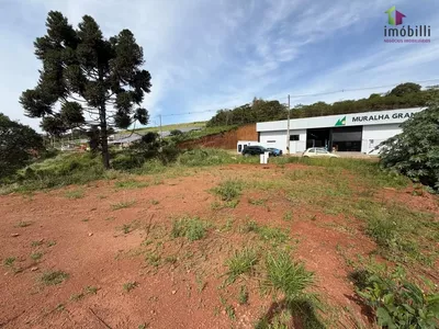 Terreno para venda, no Bairro Fraron, Pato Branco-pr - Foto 6