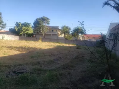 Arapongas - Terreno - Jardim Panorama - Foto 4