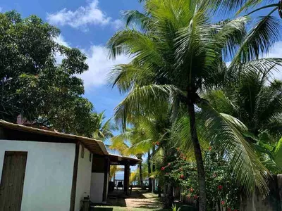 Casa, terreno à Venda Em Barra Grande, Vila, Maraú, BA - Foto 20