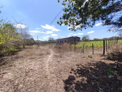 Sítio a venda na Lagoa das Flores com 2 casas, árvores frutíferas, poço artesiano, irrigação, - Foto 31