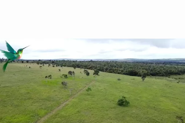 Otima Fazenda à Venda, Zona Rural , Barra do Choça, BA - Foto 3