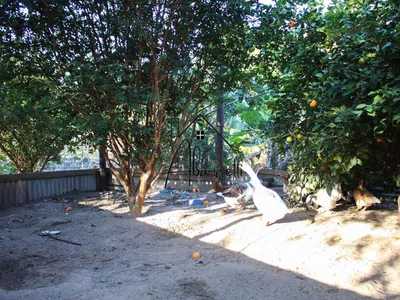 Chácara à venda no bairro Tupi, com 1.650 m² de terreno, nascente de água, piscina e 2 quartos - Foto 49