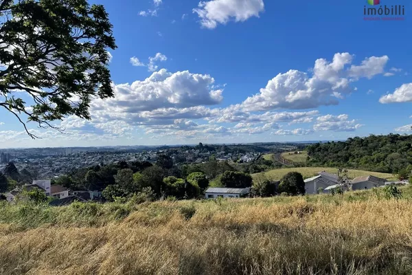 Terreno para venda Loteamento Jardim Matilde, Bairro La Salle, Pato Branco - Foto 5