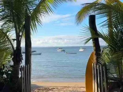 Casa, terreno à Venda Em Barra Grande, Vila, Maraú, BA - Foto 27