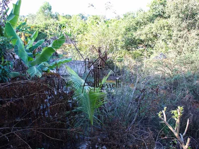 Chácara à venda no bairro Tupi, com 1.650 m² de terreno, nascente de água, piscina e 2 quartos - Foto 54