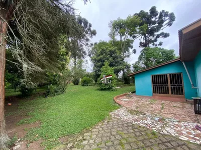 Terreno/chácara para venda no Tatuquara/Campo do Santana com 10.000m² Curitiba - Foto 42