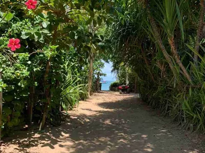 Casa, terreno à Venda Em Barra Grande, Vila, Maraú, BA - Foto 6