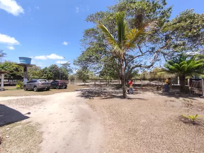 Sítio a venda na Lagoa das Flores com 2 casas, árvores frutíferas, poço artesiano, irrigação, - Foto 12