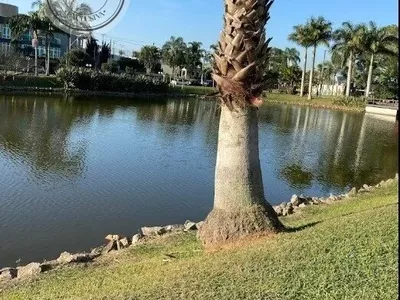 Casa em condomínio para venda, 3 quarto(s),  Real Park Mogi, Mogi Das Cruzes - Foto 28