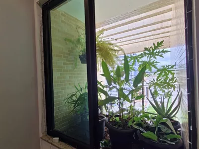 Apartamento 3 quartos sendo 1 suíte, 2 vagas de garagem, planejados na cozinha à venda, Candeias, - Foto 42