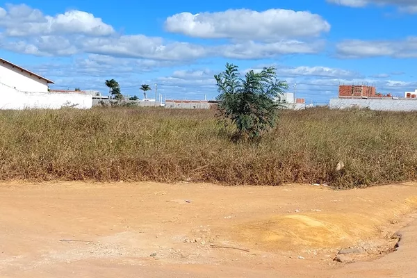 Terreno de 1.000mts de esquina no Alto da Boa Vista - Foto 6
