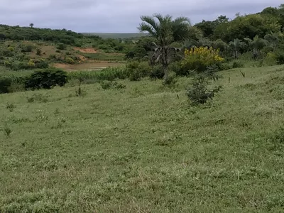 FAZENDA A VENDA REGIÃO DO MORRO DO CHAPÉU - Foto 15