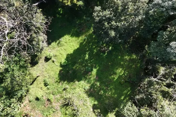 Terreno para venda,  CônegoVillaGhandi, Nova Friburgo - Foto 5