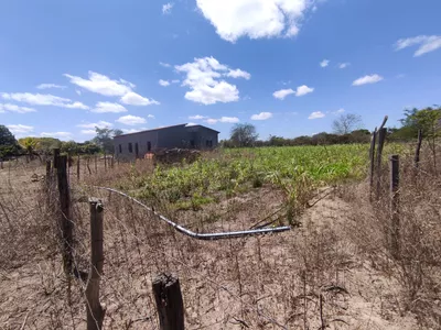 Sítio a venda na Lagoa das Flores com 2 casas, árvores frutíferas, poço artesiano, irrigação, - Foto 28