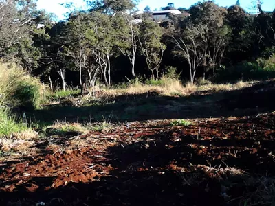 Cornélio Procópio - Rural Chácara -  Jardim Porto Belo - Foto 11