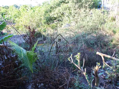 Chácara à venda no bairro Tupi, com 1.650 m² de terreno, nascente de água, piscina e 2 quartos - Foto 53