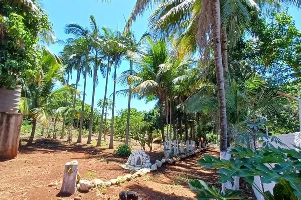 Alvorada do Sul - Chácara - 2 quartos - Recanto dos Magnatas - Foto 3