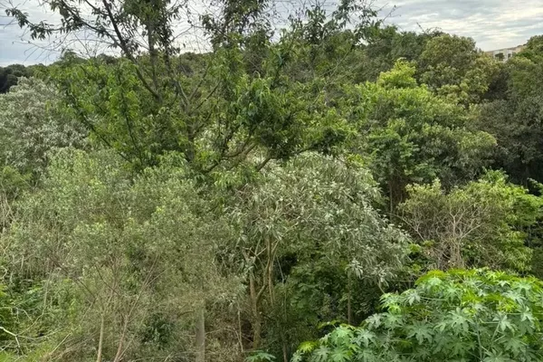 Terreno Grande para venda, Rua Augusto Redivo Fraron, Pato Branco-pr - Foto 6