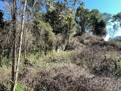 Terreno para venda,  Parque São Clemente, Nova Friburgo - Foto 9