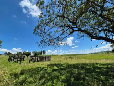 Sítio de 6,6 hectares com água, solo fértil e alto potencial produtivo à venda no Manduca Coelho - Foto 11