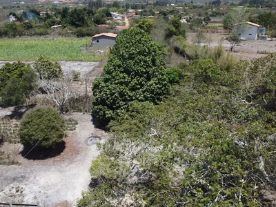 Sítio a venda na Lagoa das Flores com 2 casas, árvores frutíferas, poço artesiano, irrigação, - Foto 38
