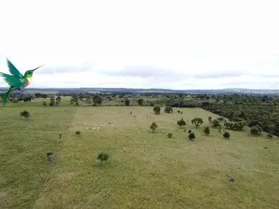 Otima Fazenda à Venda, Zona Rural , Barra do Choça, BA - Foto 2