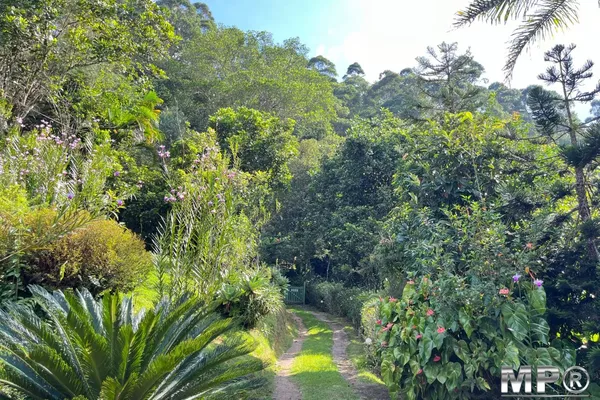 Sítio com 20 mil metros,  Lumiar, Nova Friburgo - Foto 2