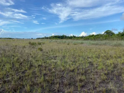 Terreno à venda, em Taipu de Fora, Península de Maraú, Barra Grande, um dos destinos mais cobiça - Foto 7