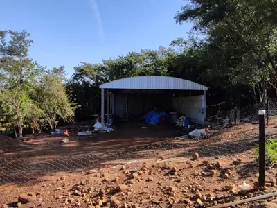 Cornélio Procópio - Chácara - Rio Congonhas - Foto 15