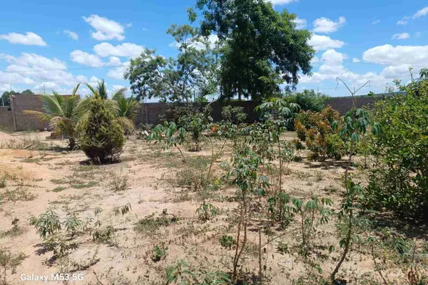 Sítio à Venda, zona Rural , São Sebastião do Passé, BA - Foto 1