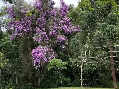 Casa em condomínio para venda, 3 quarto(s),  Real Park Mogi, Mogi Das Cruzes - Foto 27