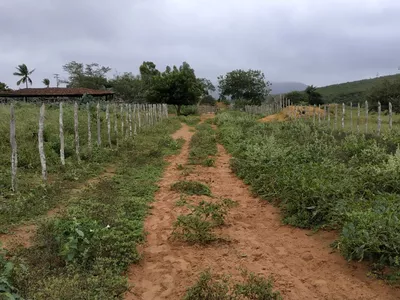 FAZENDA A VENDA REGIÃO DO MORRO DO CHAPÉU - Foto 18