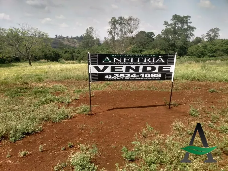 Cornélio Procópio - Terreno - Jd Progresso - Foto Principal