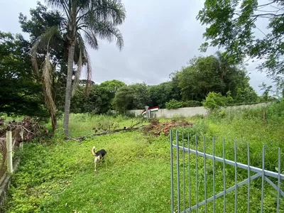 Terreno/chácara para venda no Tatuquara/Campo do Santana com 10.000m² Curitiba - Foto 16