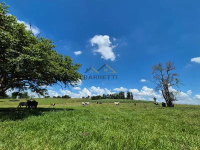 Sítio de 6,6 hectares com água, solo fértil e alto potencial produtivo à venda no Manduca Coelho - Foto 13